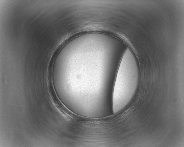 X0000067510439200604071053