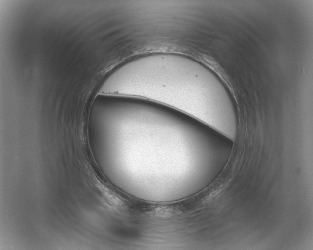 X0000067510441200604071053