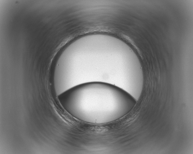 X0000067510443200604071053