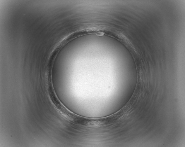X0000067510444200604071053