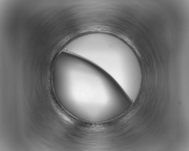 X0000067510445200604071053