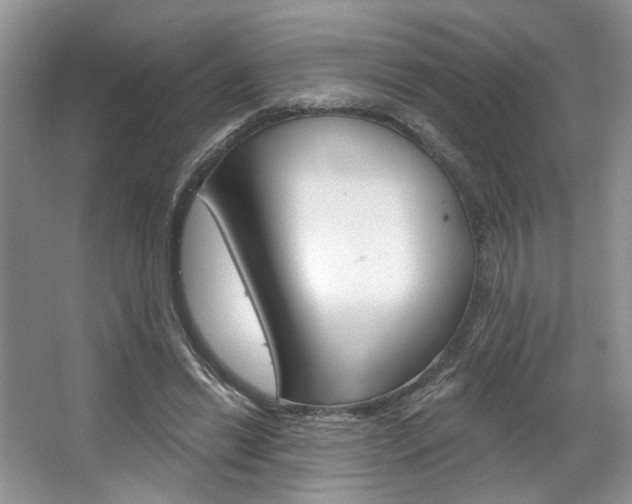 X0000067510446200604071053