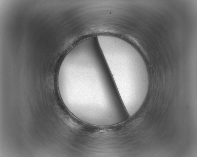 X0000067510447200604071053