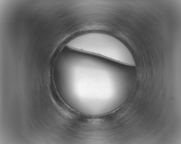 X0000067510448200604071053