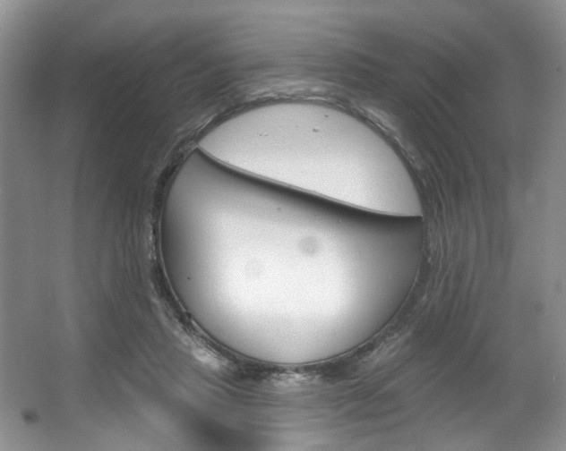 X0000067510453200604071053