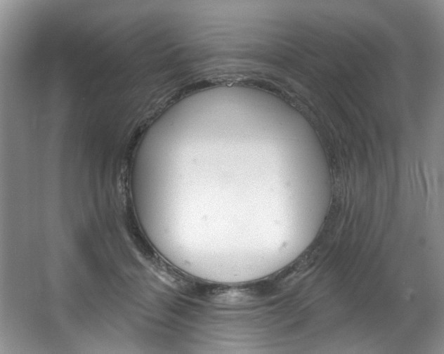 X0000067510460200604071053