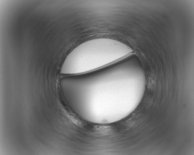 X0000067510476200604071053