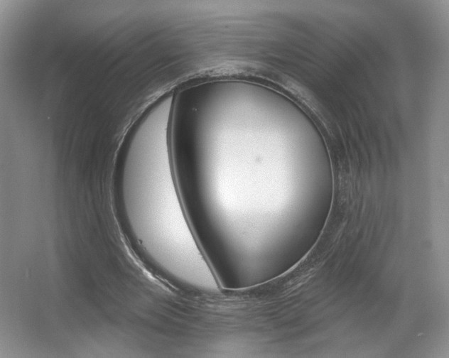 X0000067510485200604071053