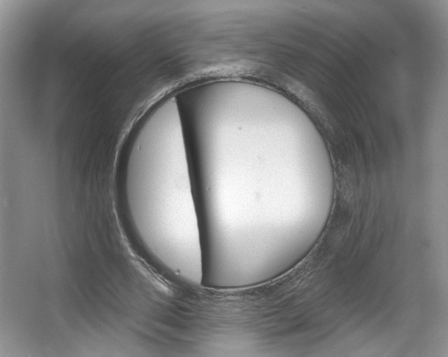 X0000067510486200604071053