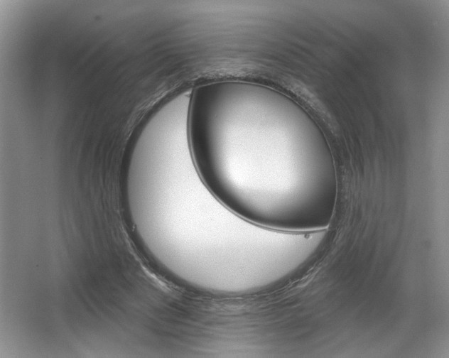 X0000067510489200604071052