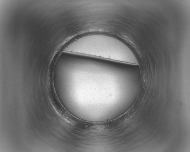 X0000067510492200604071052