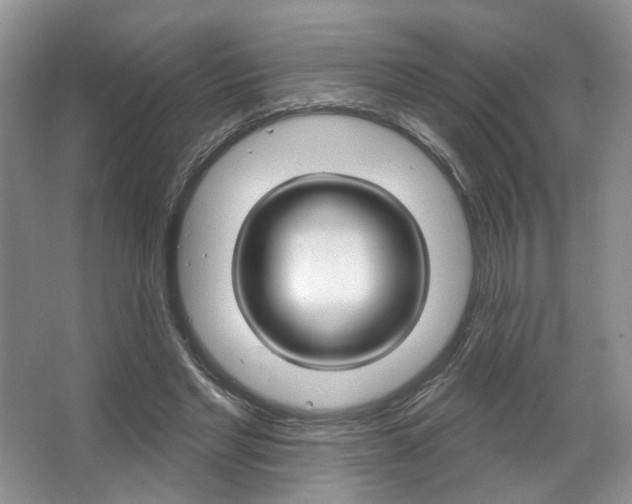 X0000067510493200604071052