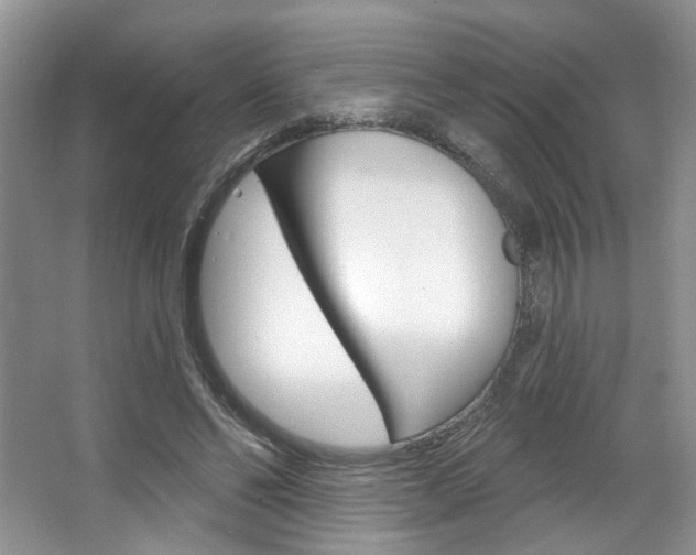 X0000067510494200604071052