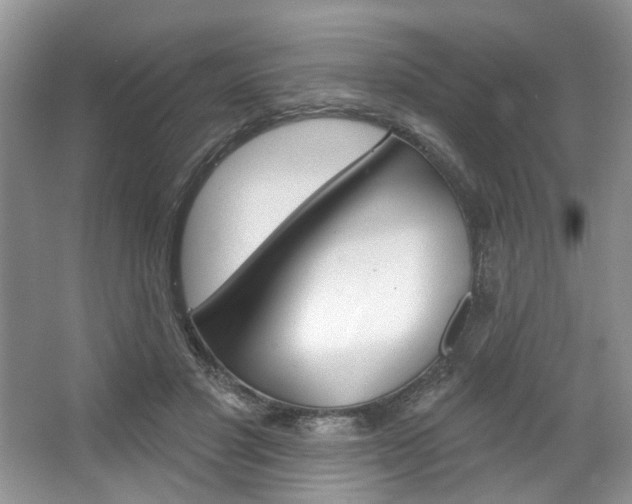 X0000067510501200604071052