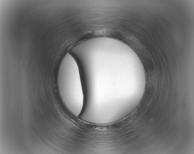 X0000067510502200604071052