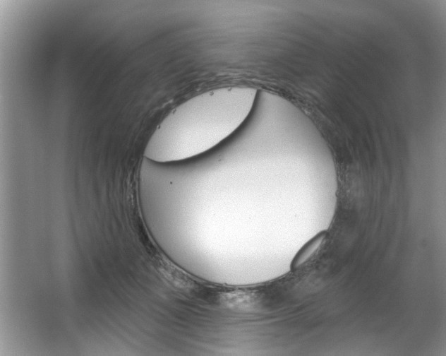 X0000067510511200604071052