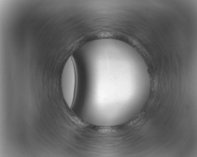 X0000067510521200604071052