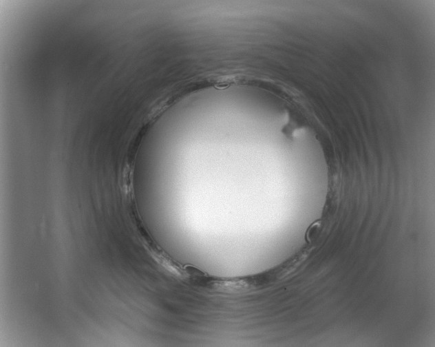X0000067510525200604071052