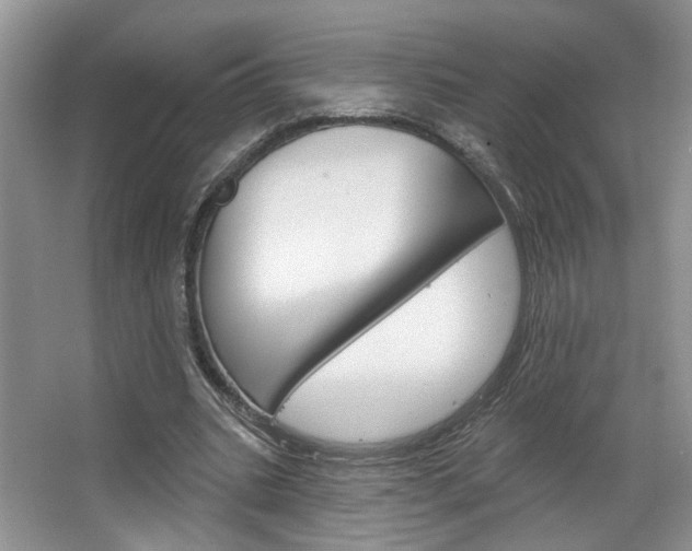 X0000067510535200604071051