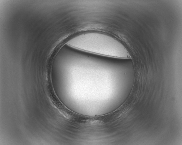 X0000067510539200604071051