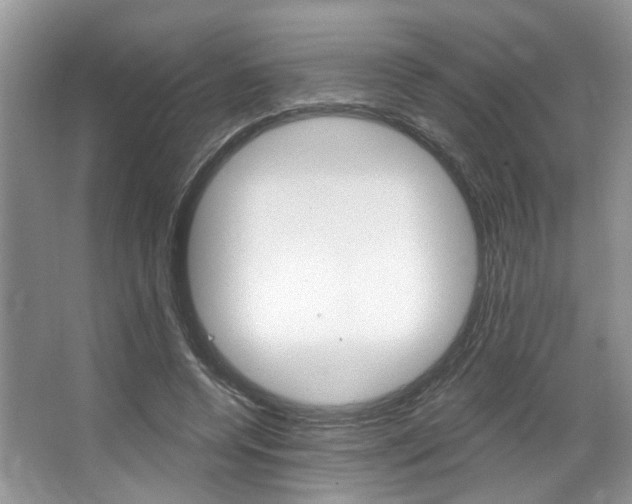 X0000067510544200604071051