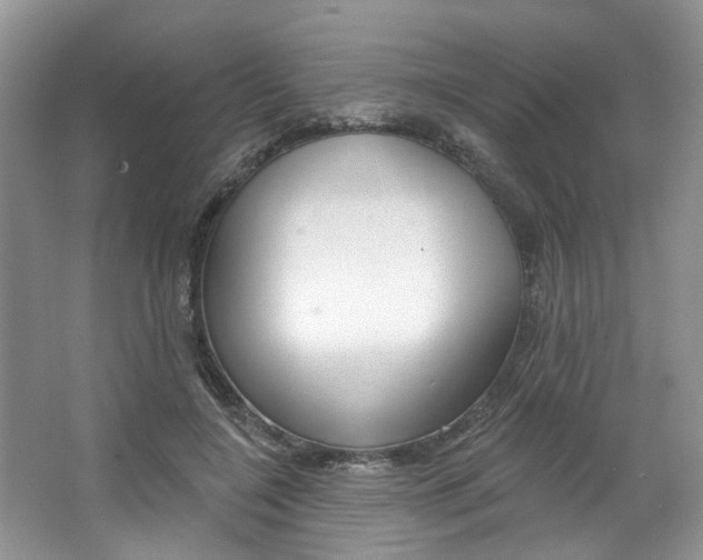 X0000067510548200604071051