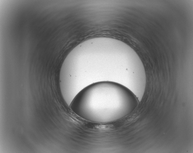 X0000067510558200604071052