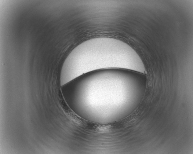 X0000067510560200604071052