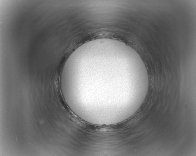 X0000067510561200604071052