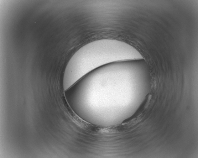 X0000067510568200604071052