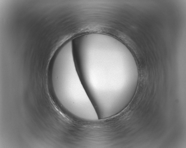 X0000067510578200604071051