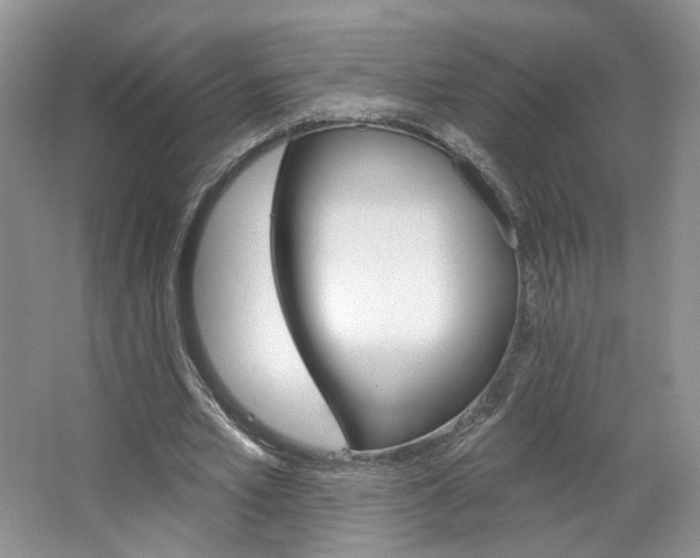 X0000067510581200604071051