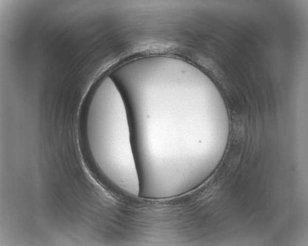 X0000067510582200604071051