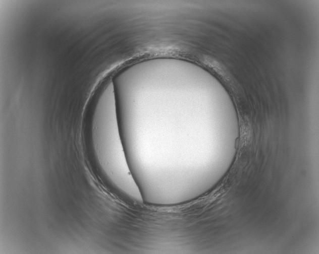 X0000067510583200604071051