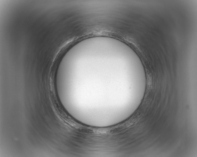 X0000067510587200604071051