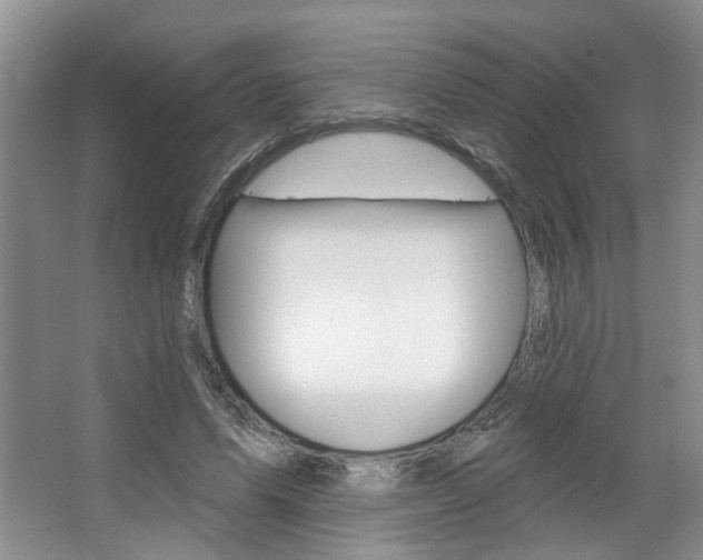 X0000067510591200604071051