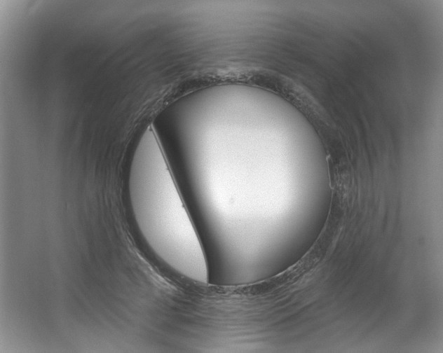 X0000067510593200604071051