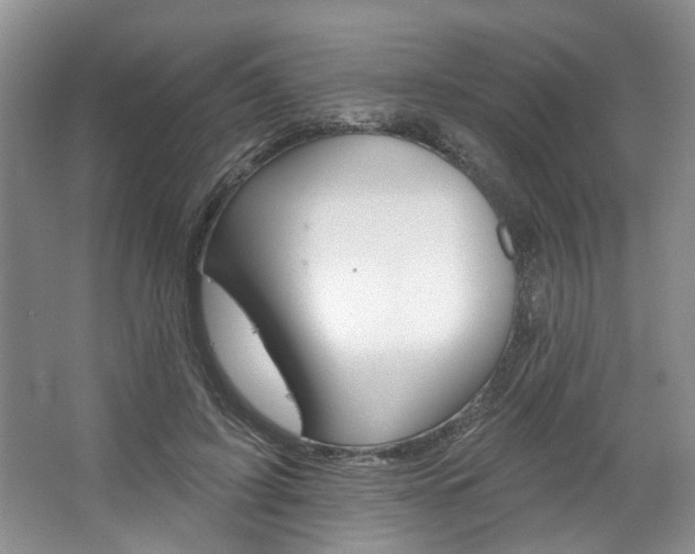 X0000067510595200604071051