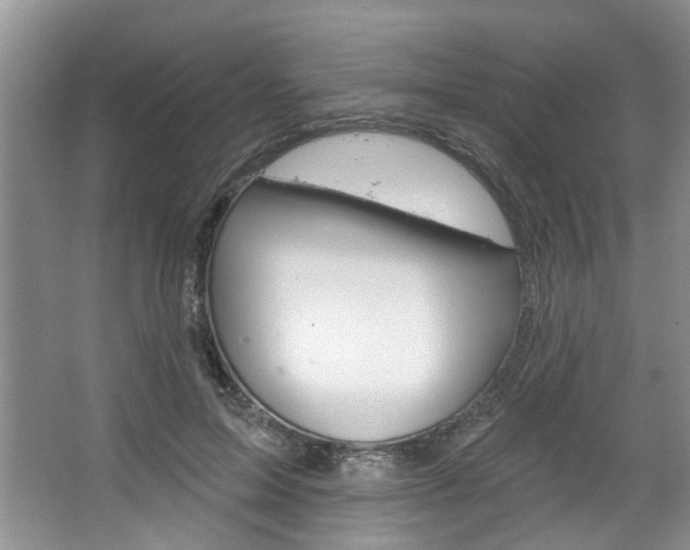 X0000067510599200604071051