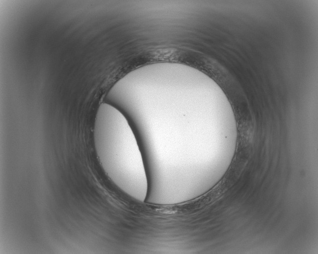 X0000067510602200604071051