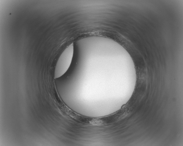 X0000067510603200604071051