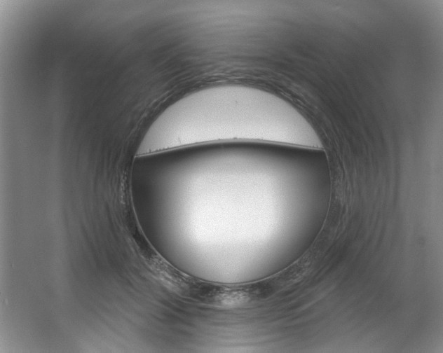 X0000067510604200604071051