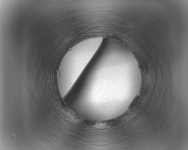 X0000067510609200604071050