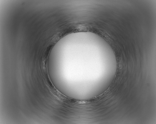 X0000067510611200604071050
