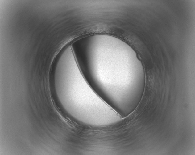 X0000067510626200604071049