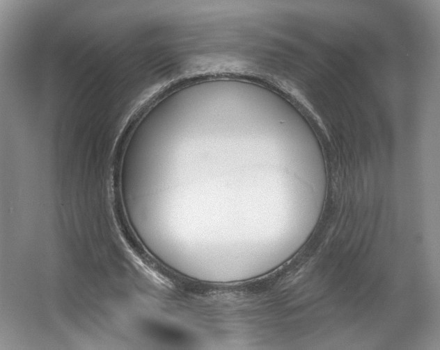 X0000067510629200604071049