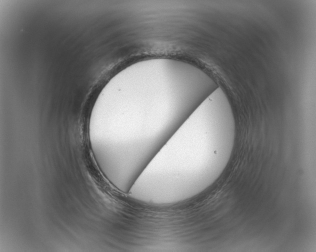 X0000067510636200604071050