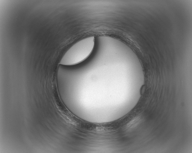 X0000067510641200604071050