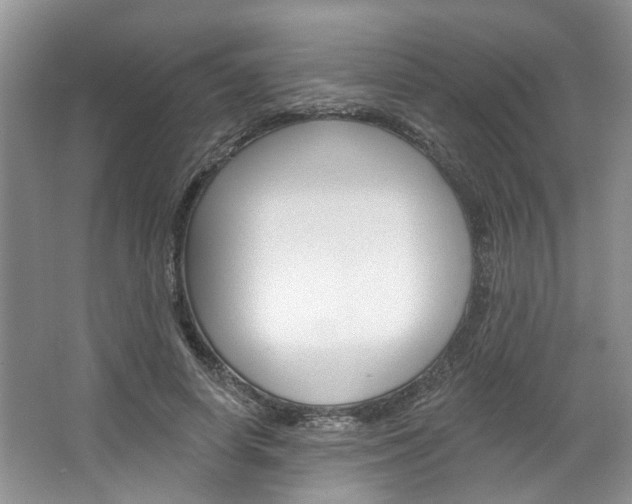X0000067510642200604071050