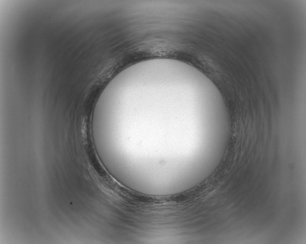 X0000067510646200604071050